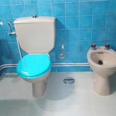 Montaje de sanitarios existentes