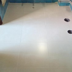 Reposición de plaqueta